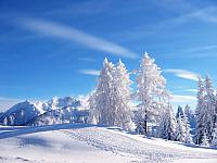 Winter_Landscape_1600