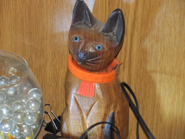 кот сиамский