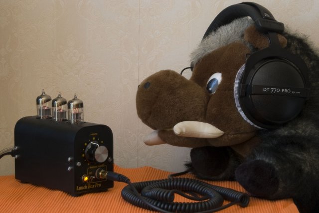 Laconic HA-06 PRO + Beyerdynamic DT 770 pro