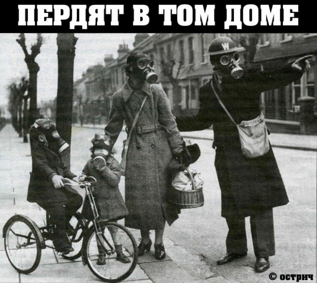 Пердят в том доме