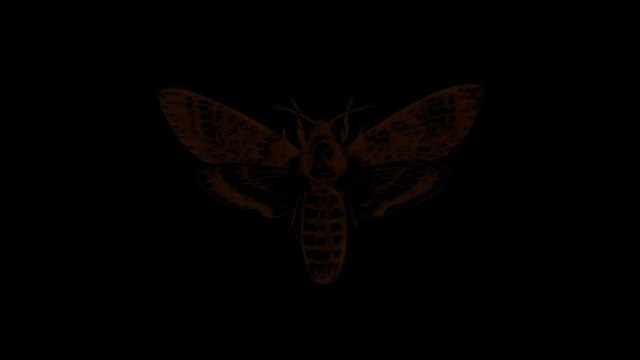 Dark butterfly