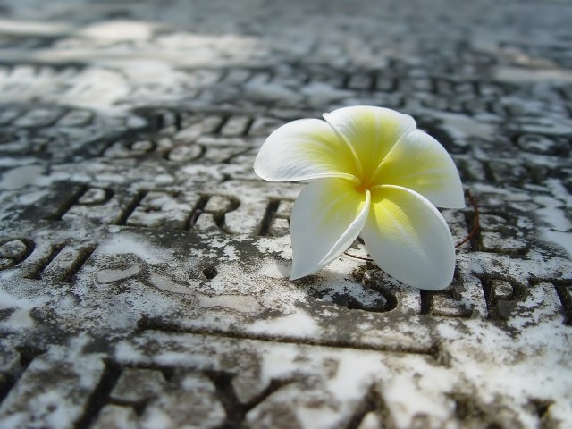 Momentariness_1600