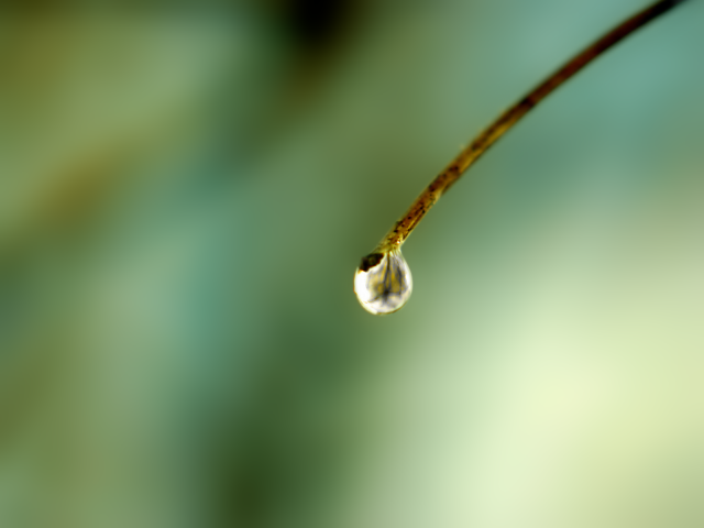 Water_Drop_1600