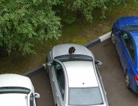 Cruze