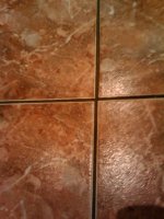 IMAG0024