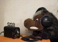 Laconic Launch Box + Beyerdynamic DT 770 250 ohm