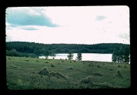 nature1