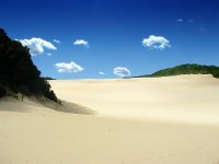 In_The_Dunes_1600