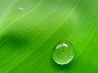 One_Drop_1600