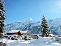 Winter_Holiday_1600