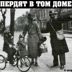 Пердят в том доме